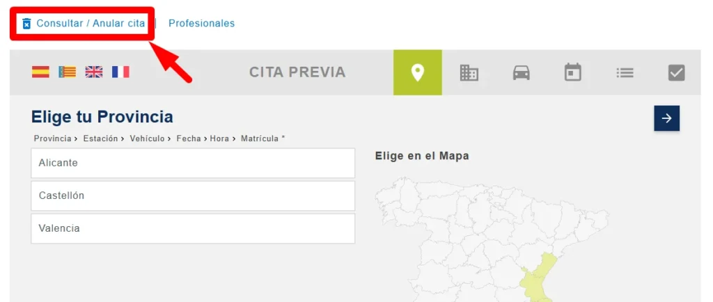 Consultar o anular cita SITVAL